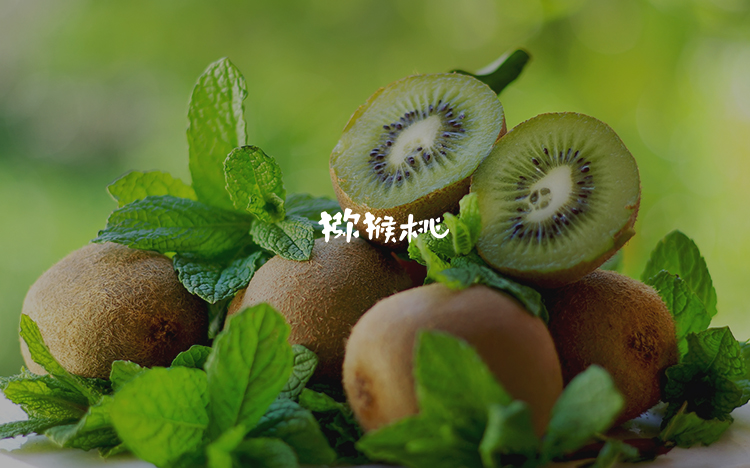 猕猴桃logo設計(jì)